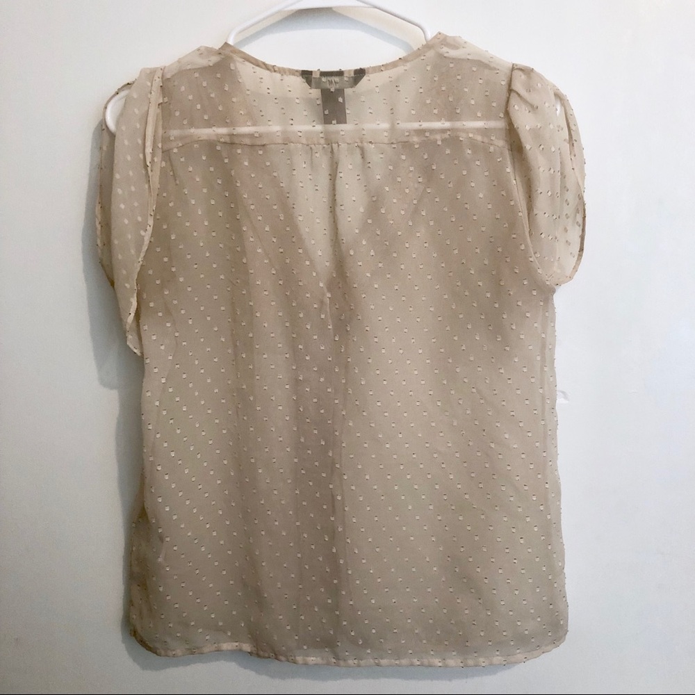 Sheer Top - Picture 5 of 5